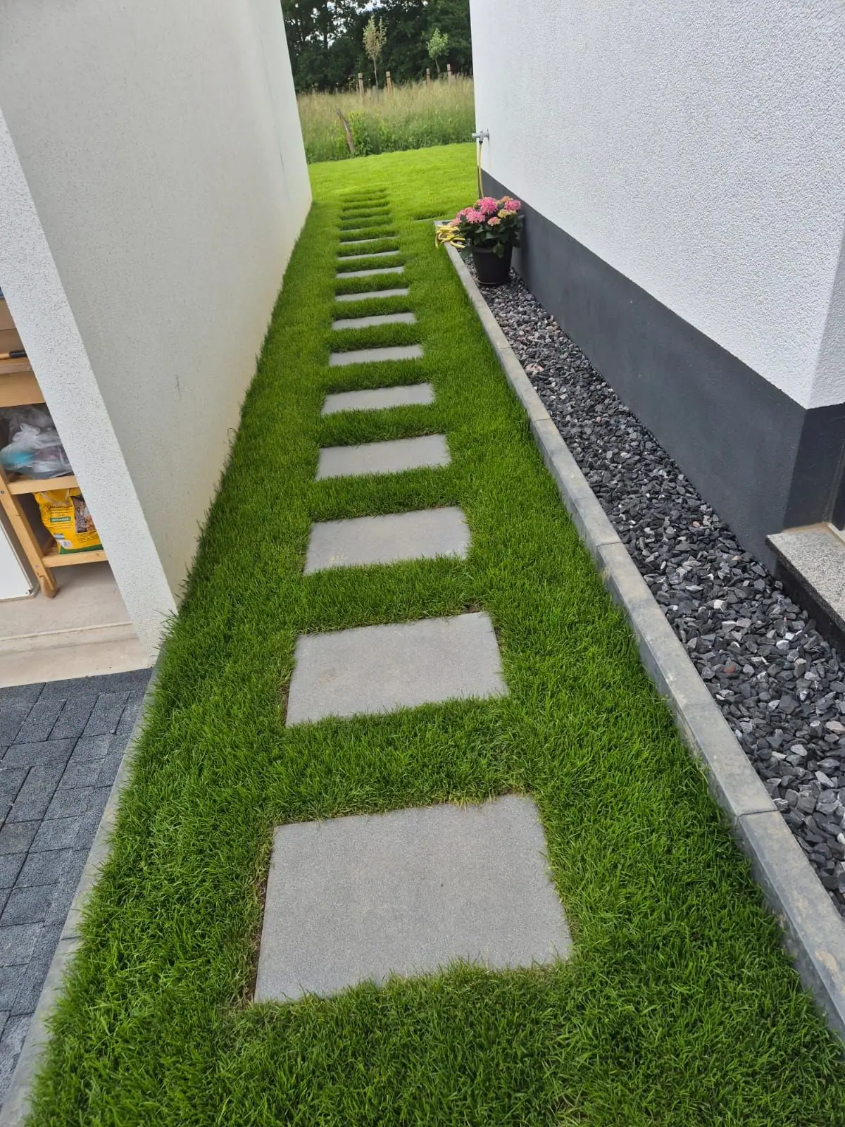 Trittplatten aus Beton in frischem Rasen zwischen zwei Häusern, daneben ein Kiesstreifen